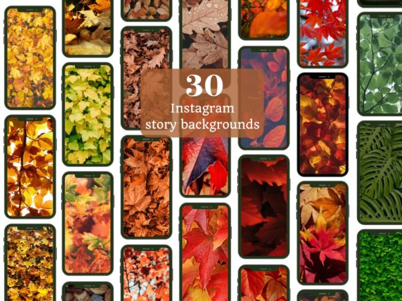 Download Autumn Leaves Instagram Story Background - Insta Collection
